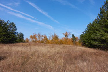 Similar image 21348295