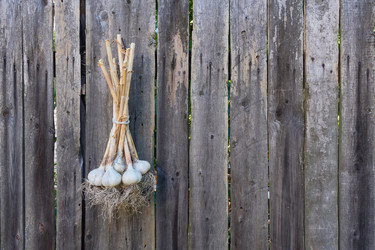 Similar image 21348296