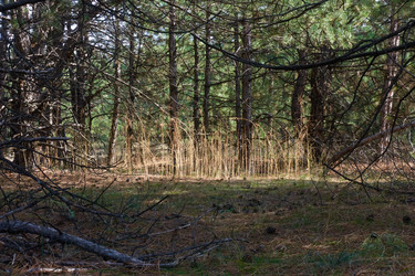 Similar image 21348348