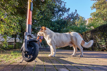 Similar image 21348353