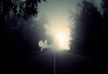 Similar image 21347912