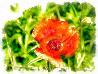 Similar image 21348124