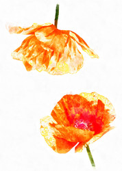 Similar image 21348126