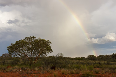 Similar image 21347709