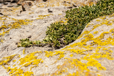 Similar image 21347712