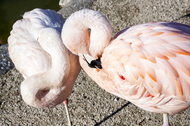 Similar image 21347715