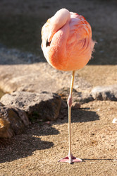 Similar image 21347716