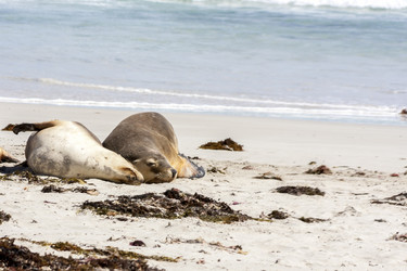 Similar image 21347723