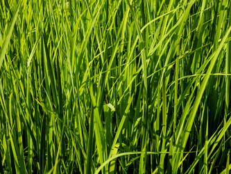 Similar image 21347730