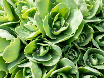 Similar image 21347734