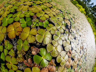 Similar image 21347736