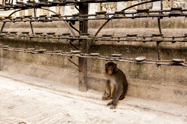 Similar image 21347740