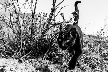 Similar image 21347741