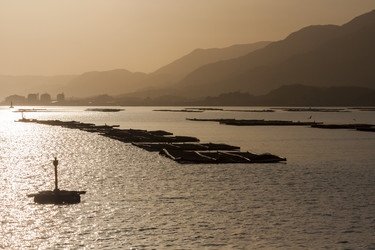 Similar image 21347743