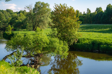 Similar image 21350947