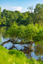 Similar image 21350948