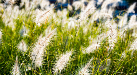 Similar image 21350954