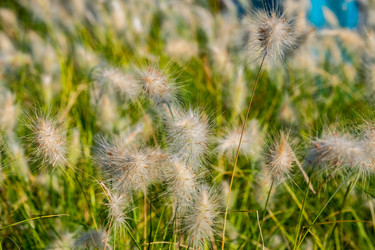 Similar image 21350956