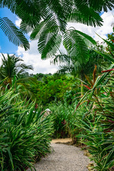 Similar image 21350964