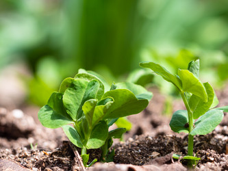 Similar image 21348182