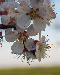 Similar image 21348183