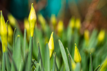 Similar image 21348184