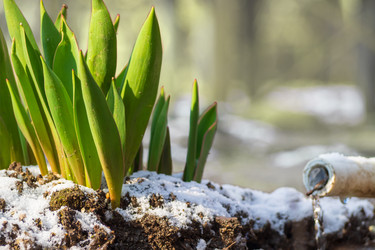 Similar image 21348185