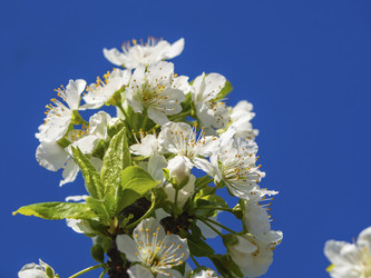 Similar image 21348189