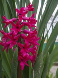 Similar image 21348190