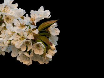 Similar image 21348191