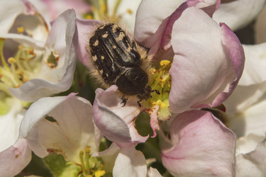 Similar image 21348192