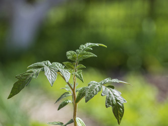 Similar image 21348193