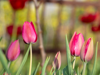 Similar image 21348194