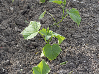 Similar image 21348197