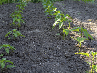 Similar image 21348198