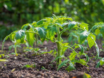 Similar image 21348199