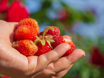 Similar image 21348200