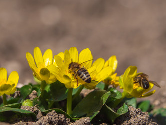 Similar image 21348202