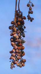 Similar image 21348207