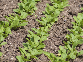 Similar image 21348209