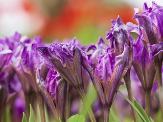 Similar image 21348210