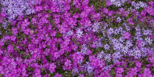 Similar image 21348212