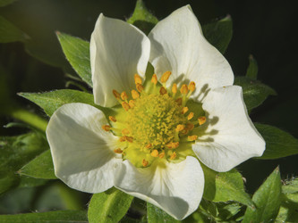 Similar image 21348213