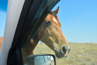 Similar image 21348246