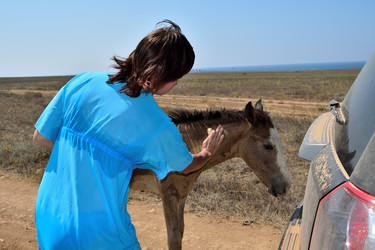 Similar image 21348247