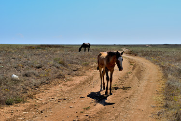 Similar image 21348249