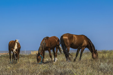 Similar image 21348250