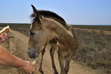 Similar image 21348252