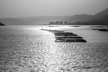 Similar image 21348137