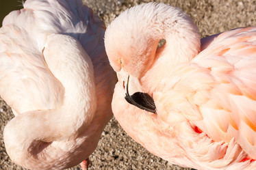 Similar image 21348140